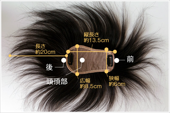 �T���v���ʐ^