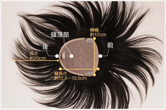 �T���v���ʐ^